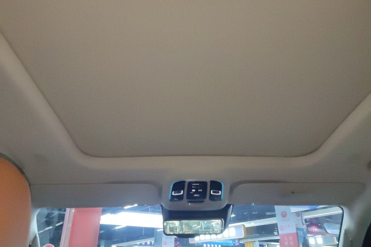 Used Tank 500 New Energy 2025 Hi4-Z Headliner