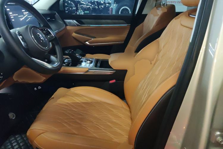 Used Tank 500 New Energy 2025 Hi4-Z Left Front Seat