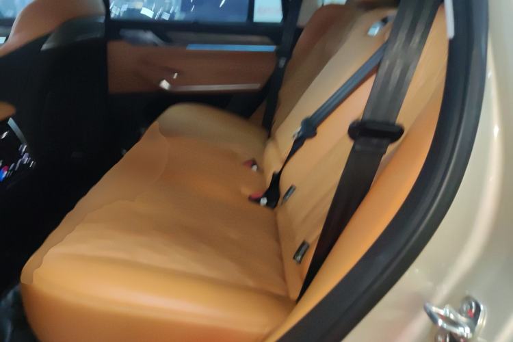 Used Tank 500 New Energy 2025 Hi4-Z Left Rear Seat