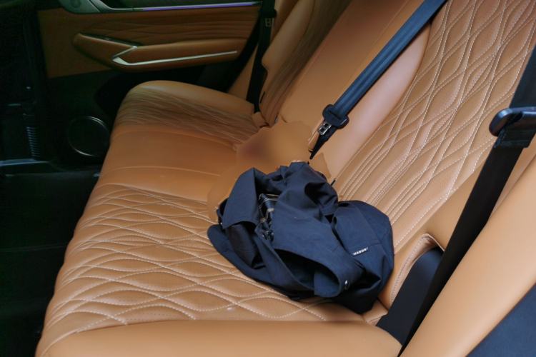 Used Tank 500 New Energy 2025 Hi4-Z Left Rear Seat
