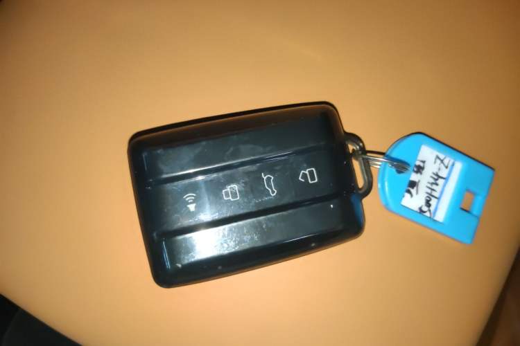 Used Tank 500 New Energy 2025 Hi4-Z Vehicle Key