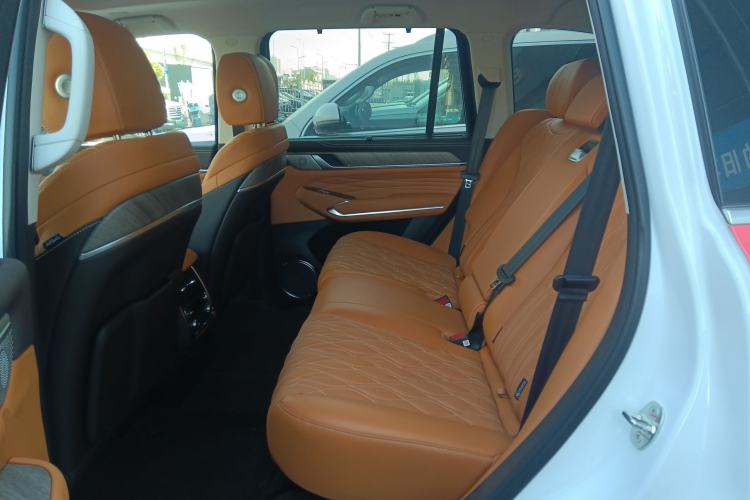 Used Tank 500 New Energy 2025 Hi4-Z Left Rear Seat