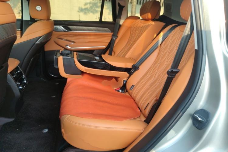 Used Tank 500 New Energy 2025 Hi4-Z Left Rear Seat