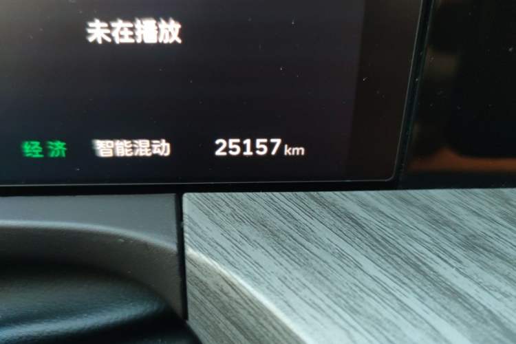 Used Tank 500 New Energy 2025 Hi4-Z Odometer Close Up