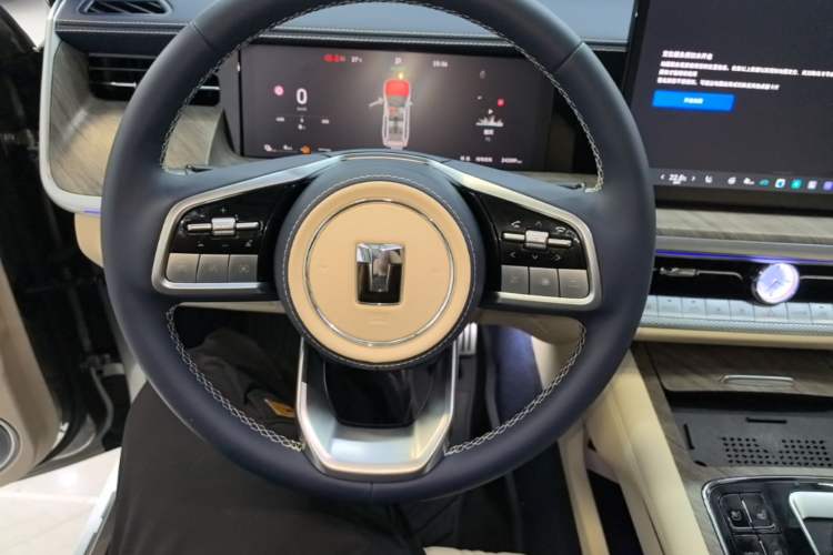 Used Tank 500 New Energy 2025 Hi4-Z Steering Wheel