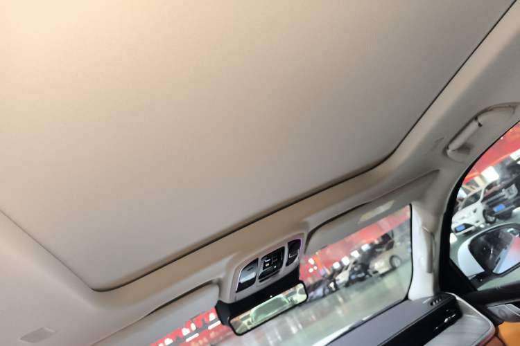 Used Tank 500 New Energy 2025 Hi4-Z Headliner