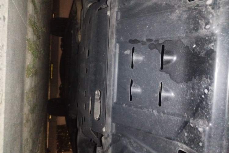Used Tank 500 New Energy 2025 Hi4-Z Chassis Front