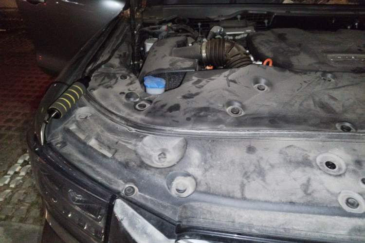 Used Tank 500 New Energy 2025 Hi4-Z Engine Bay Right
