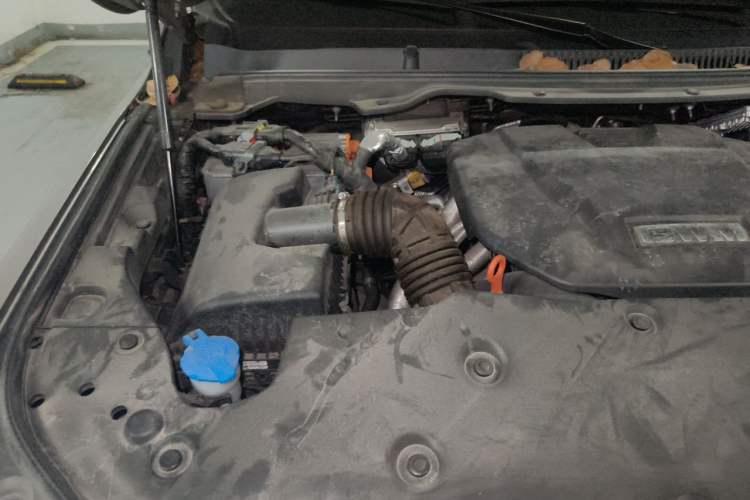 Used Tank 500 New Energy 2025 Hi4-Z Engine Bay Right