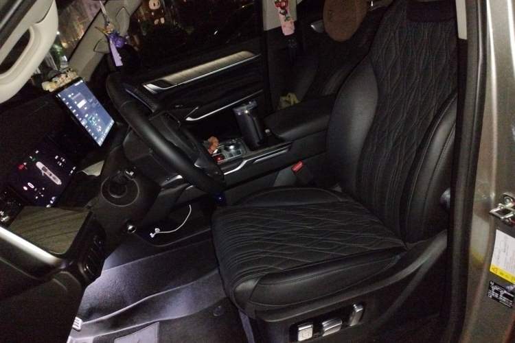 Used Tank 500 New Energy 2025 Hi4-Z Left Front Seat