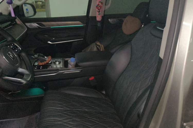 Used Tank 500 New Energy 2025 Hi4-Z Left Front Seat