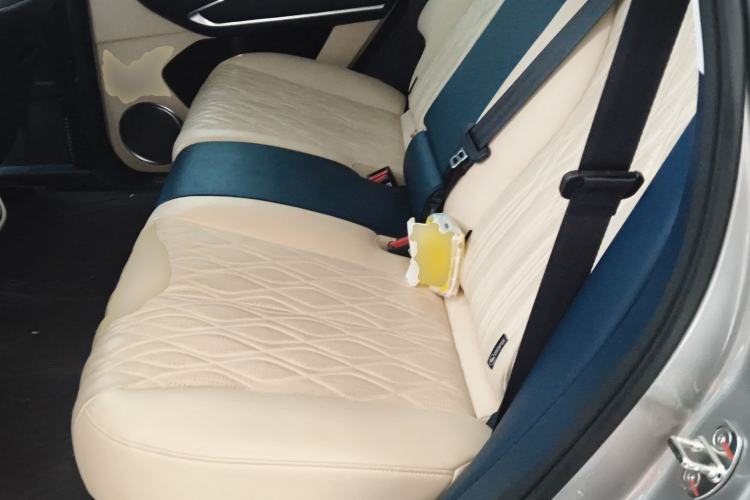 Used Tank 500 New Energy 2025 Hi4-Z Left Rear Seat