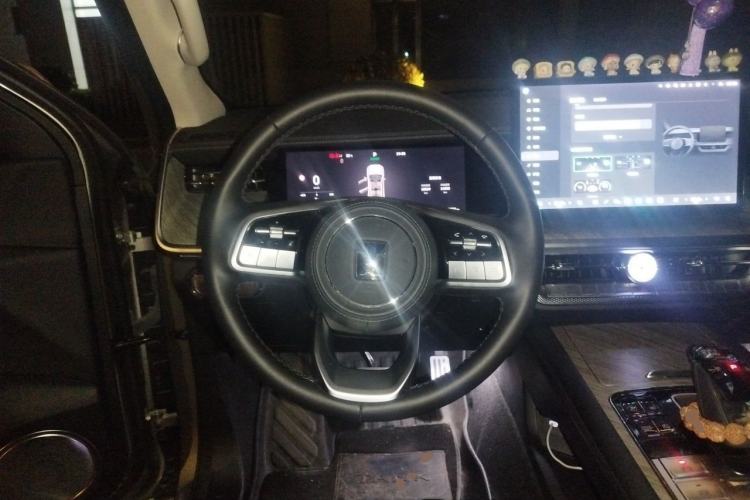 Used Tank 500 New Energy 2025 Hi4-Z Steering Wheel