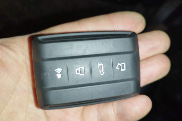 Used Tank 500 New Energy 2025 Hi4-Z Vehicle Key