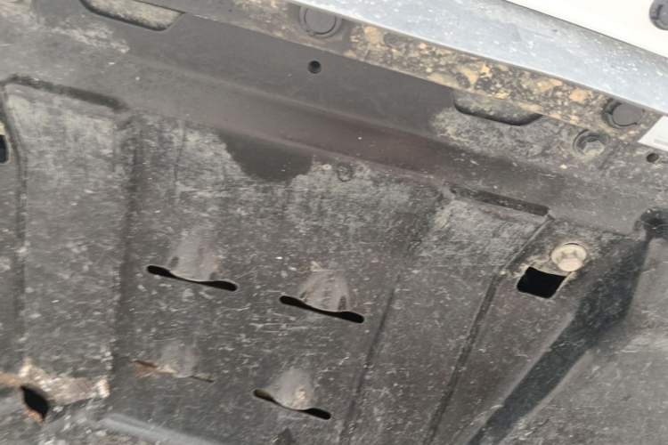 Used Tank 500 New Energy 2025 Hi4-Z Chassis Front