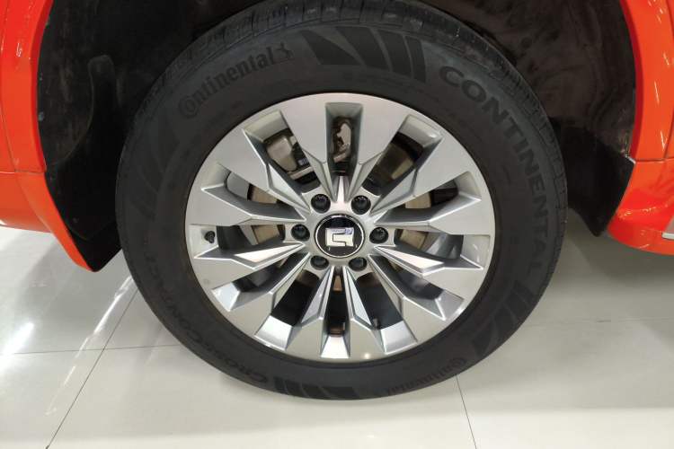 Used Tank 500 New Energy 2025 Hi4-Z Exterior 8