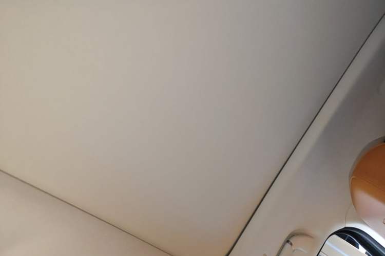 Used Tank 500 New Energy 2025 Hi4-Z Headliner