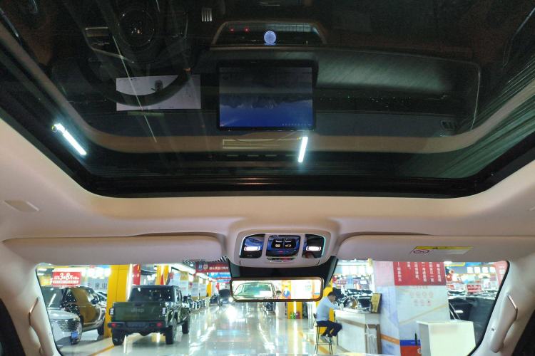 Used Tank 500 New Energy 2025 Hi4-Z Headliner