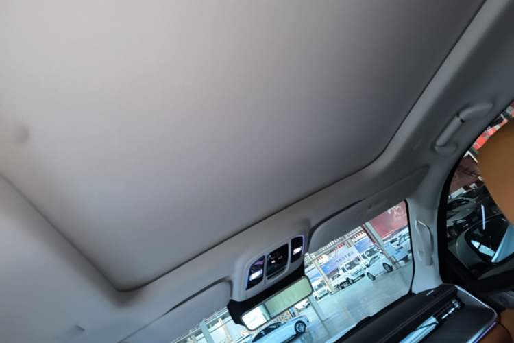 Used Tank 500 New Energy 2025 Hi4-Z Headliner
