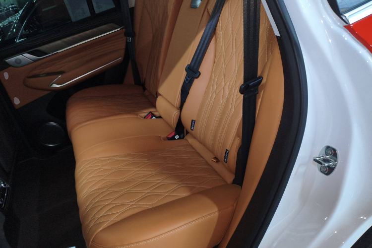 Used Tank 500 New Energy 2025 Hi4-Z Interior 4