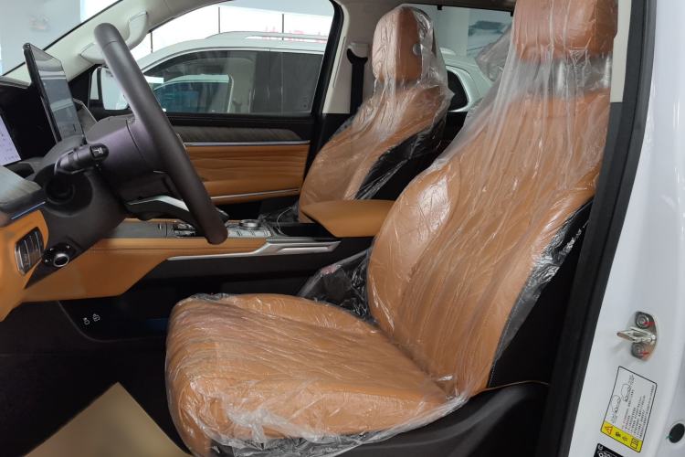 Used Tank 500 New Energy 2025 Hi4-Z Left Front Seat