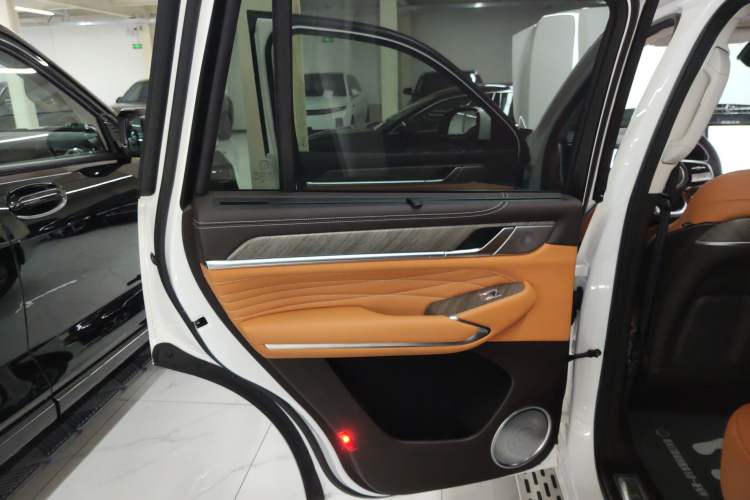 Used Tank 500 New Energy 2025 Hi4-Z Left Rear Door Interior