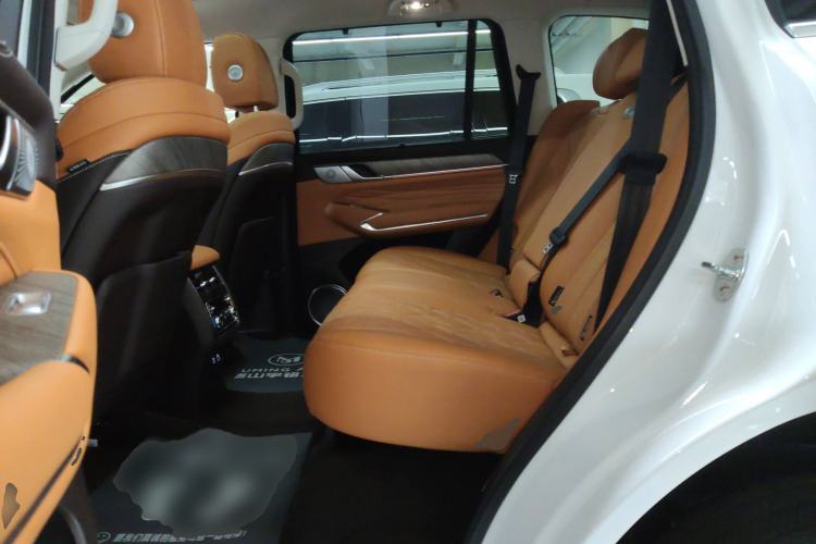 Used Tank 500 New Energy 2025 Hi4-Z Left Rear Seat