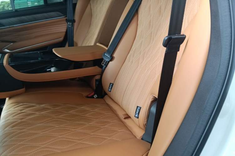 Used Tank 500 New Energy 2025 Hi4-Z Left Rear Seat