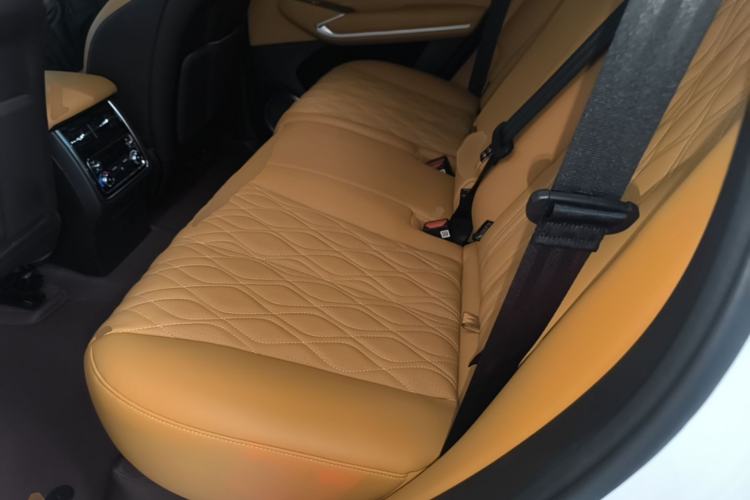 Used Tank 500 New Energy 2025 Hi4-Z Left Rear Seat