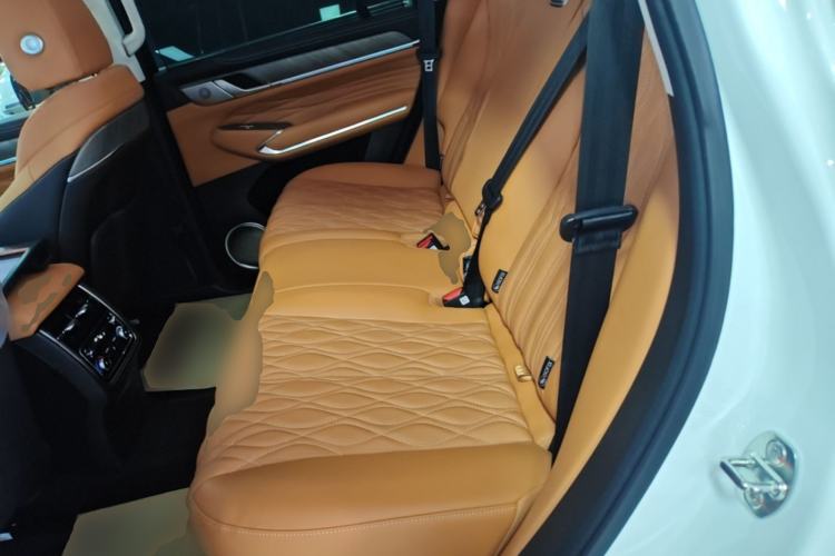 Used Tank 500 New Energy 2025 Hi4-Z Left Rear Seat