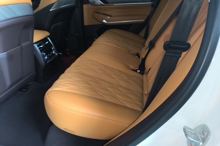 Used Tank 500 New Energy 2025 Hi4-Z Left Rear Seat