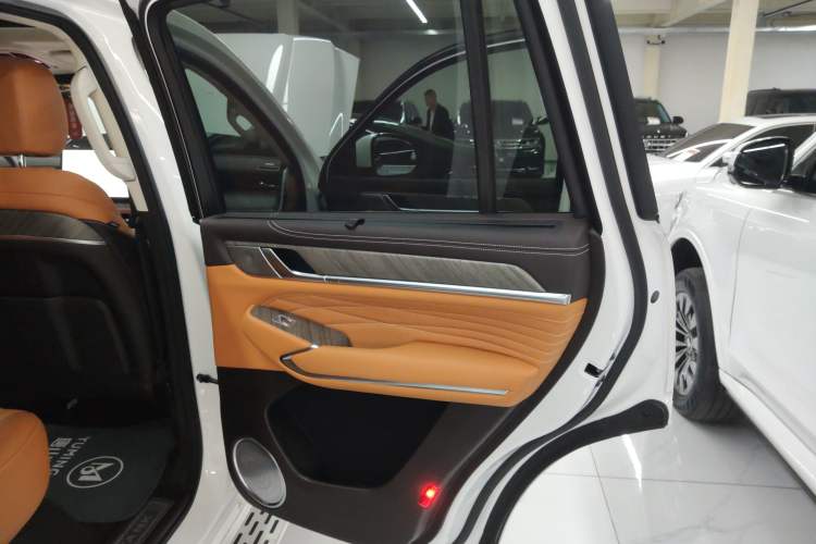 Used Tank 500 New Energy 2025 Hi4-Z Right Rear Door Interior