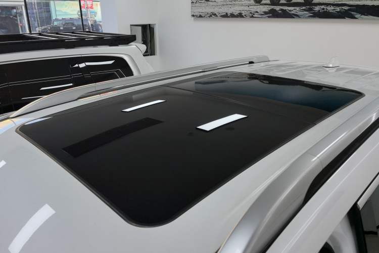 Used Tank 500 New Energy 2025 Hi4-Z Roof