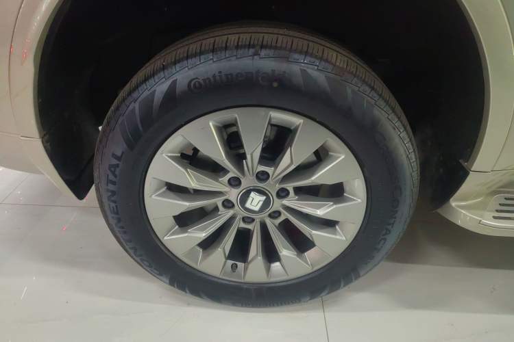 Used Tank 500 New Energy 2025 Hi4-Z Exterior 8