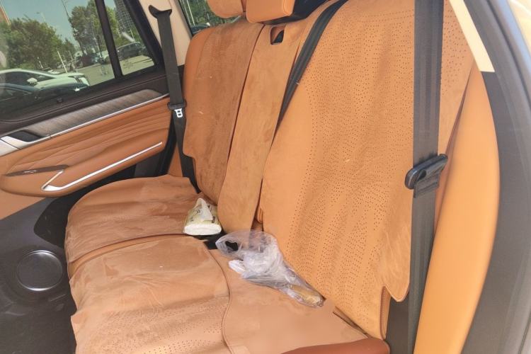 Used Tank 500 New Energy 2025 Hi4-Z Left Rear Seat