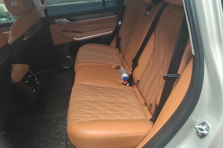 Used Tank 500 New Energy 2025 Hi4-Z Left Rear Seat