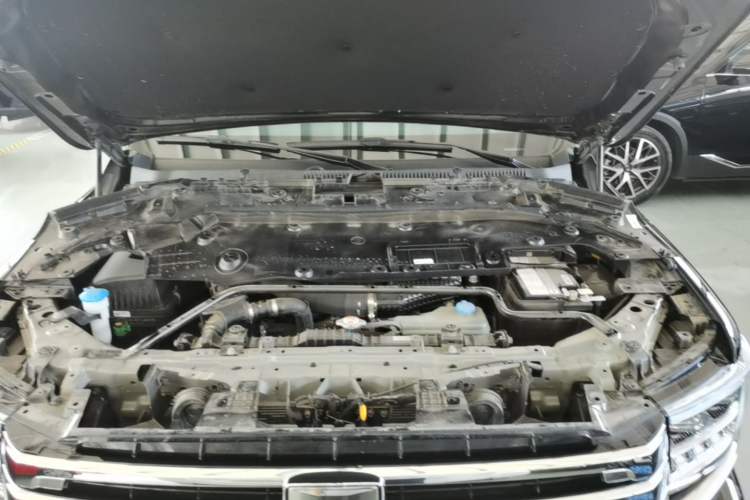 Used Tank 500 New Energy 2026 Model—Hi4-T Smart Enjoyment Version Engine Bay