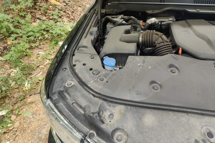 Used Tank 500 New Energy 2026 Model—Hi4-T Standard Version Engine Bay Right