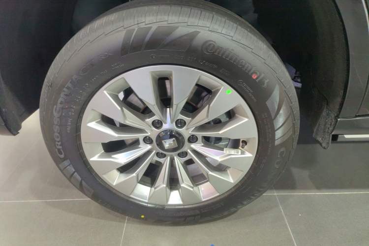 Used Tank 500 New Energy 2026 Model—Hi4-T Smart Enjoyment Version Exterior 4