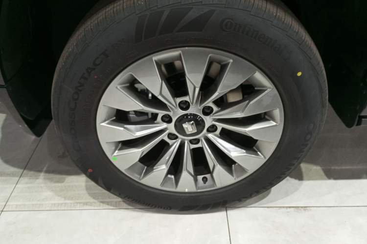 Used Tank 500 New Energy 2026 Model—Hi4-T Smart Enjoyment Version Exterior 5
