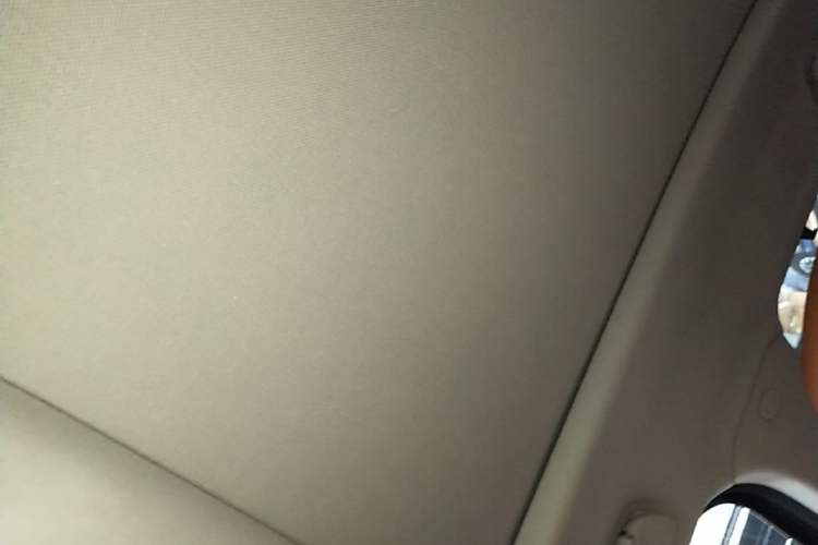 Used Tank 500 New Energy 2026 Model—Hi4-T Standard Version Headliner