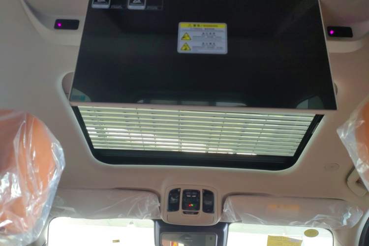 Used Tank 500 New Energy 2026 Model—Hi4-T Smart Enjoyment Version Headliner