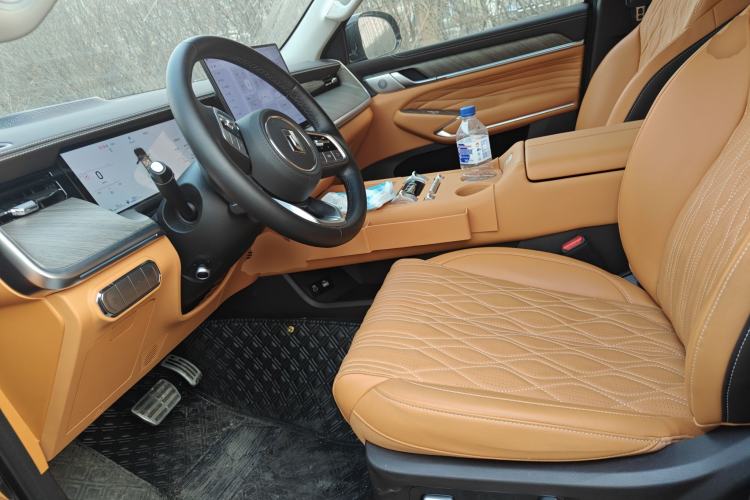 Used Tank 500 New Energy 2026 Model—Hi4-Z Smart Enjoyment Version Left Front Seat