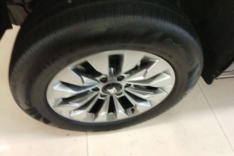 Used Tank 500 New Energy 2026 Model—Hi4-T Standard Version Left Front Wheel Hub