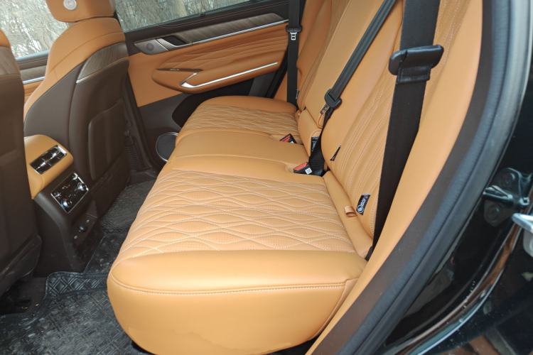 Used Tank 500 New Energy 2026 Model—Hi4-Z Smart Enjoyment Version Left Rear Seat
