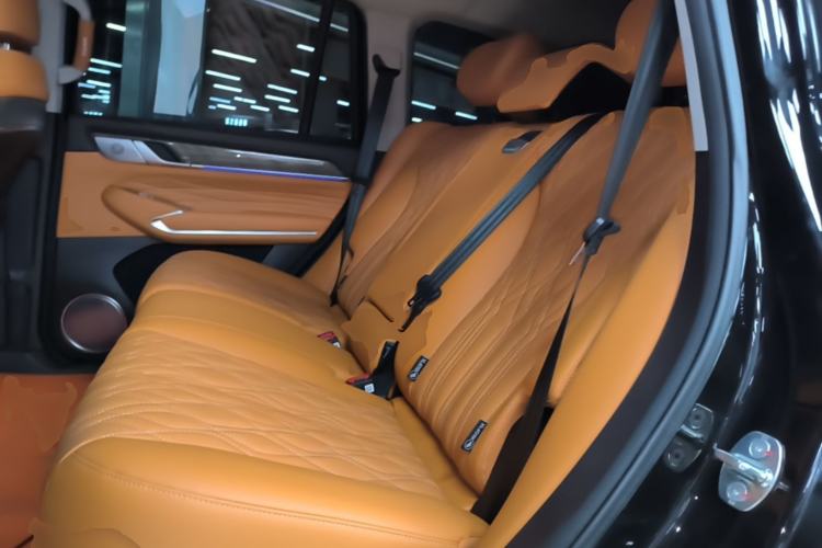 Used Tank 500 New Energy 2026 Model—Hi4-T Smart Enjoyment Version Left Rear Seat