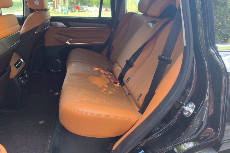 Used Tank 500 New Energy 2026 Model—Hi4-T Smart Enjoyment Version Left Rear Seat