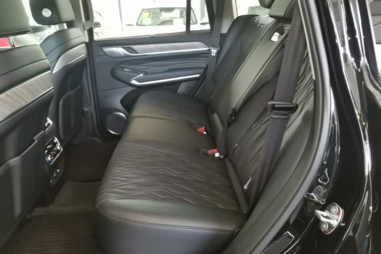Used Tank 500 New Energy 2026 Model—Hi4-T Smart Enjoyment Version Left Rear Seat