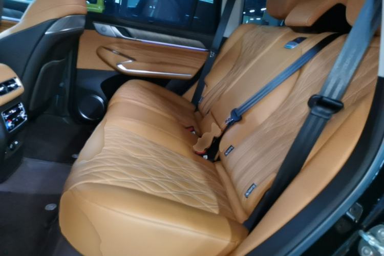 Used Tank 500 New Energy 2026 Model—Hi4-T Smart Enjoyment Version Left Rear Seat