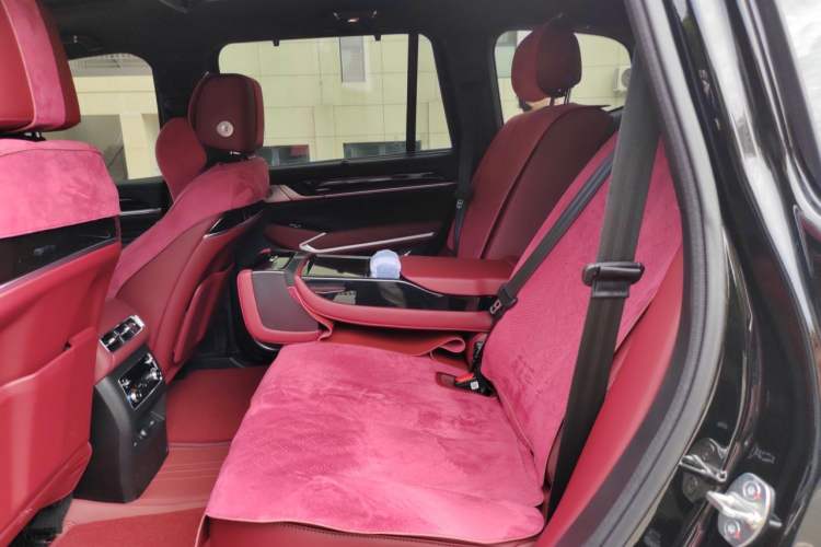 Used Tank 500 New Energy 2026 Hi4-Z Black Warrior Left Rear Seat
